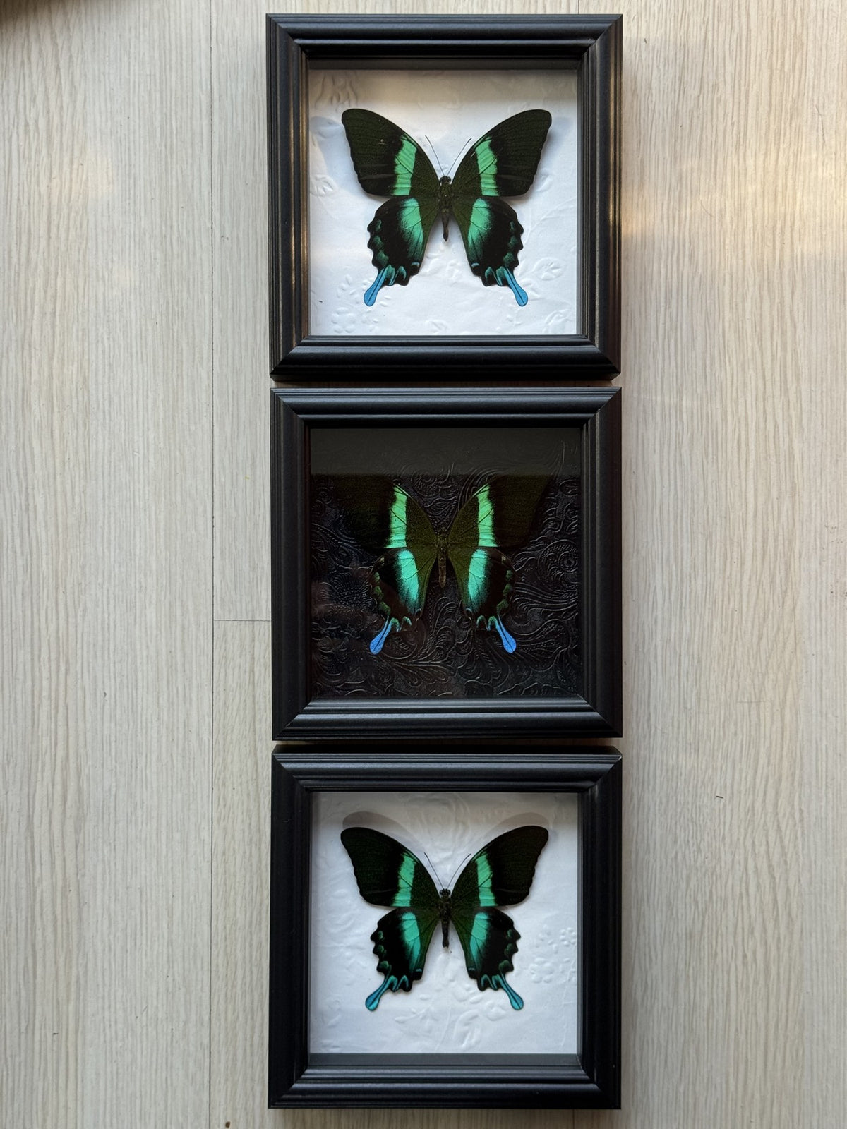 Verdant Cabinet Trio