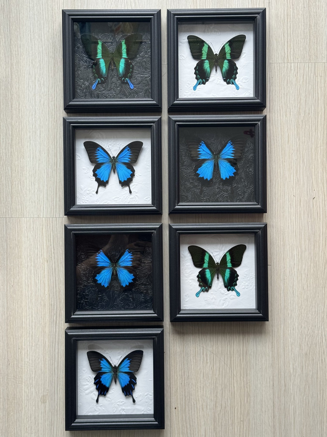 Obsidian Azure Study