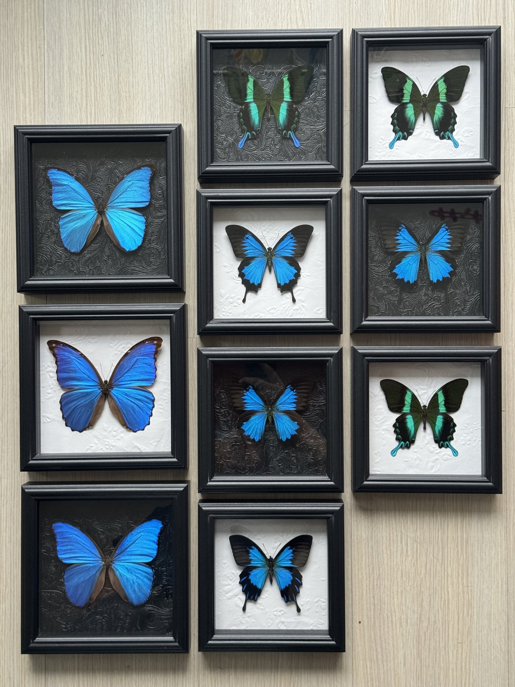Cobalt Morpho Study