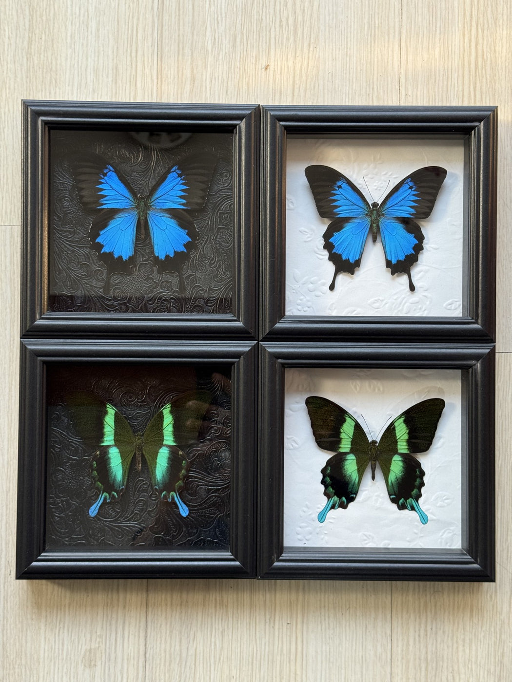 Verdant Cabinet Trio