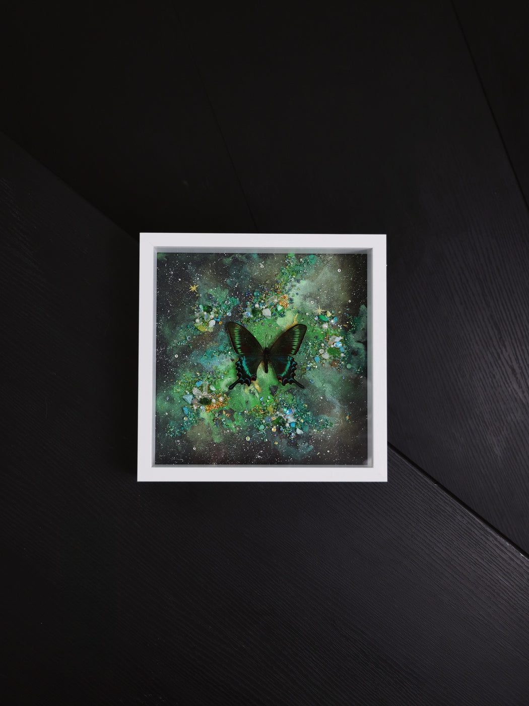 Emerald Forest Study — Papilio bianor