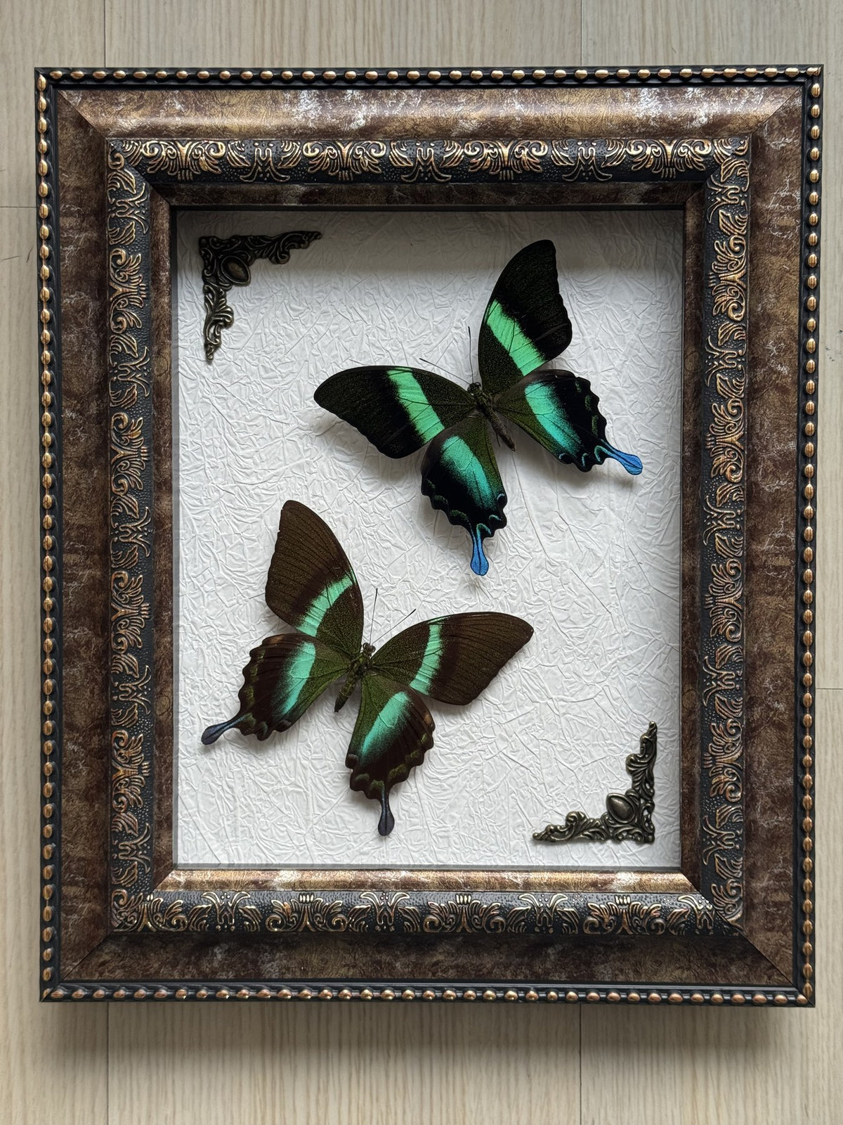 Malachite Twin Study
