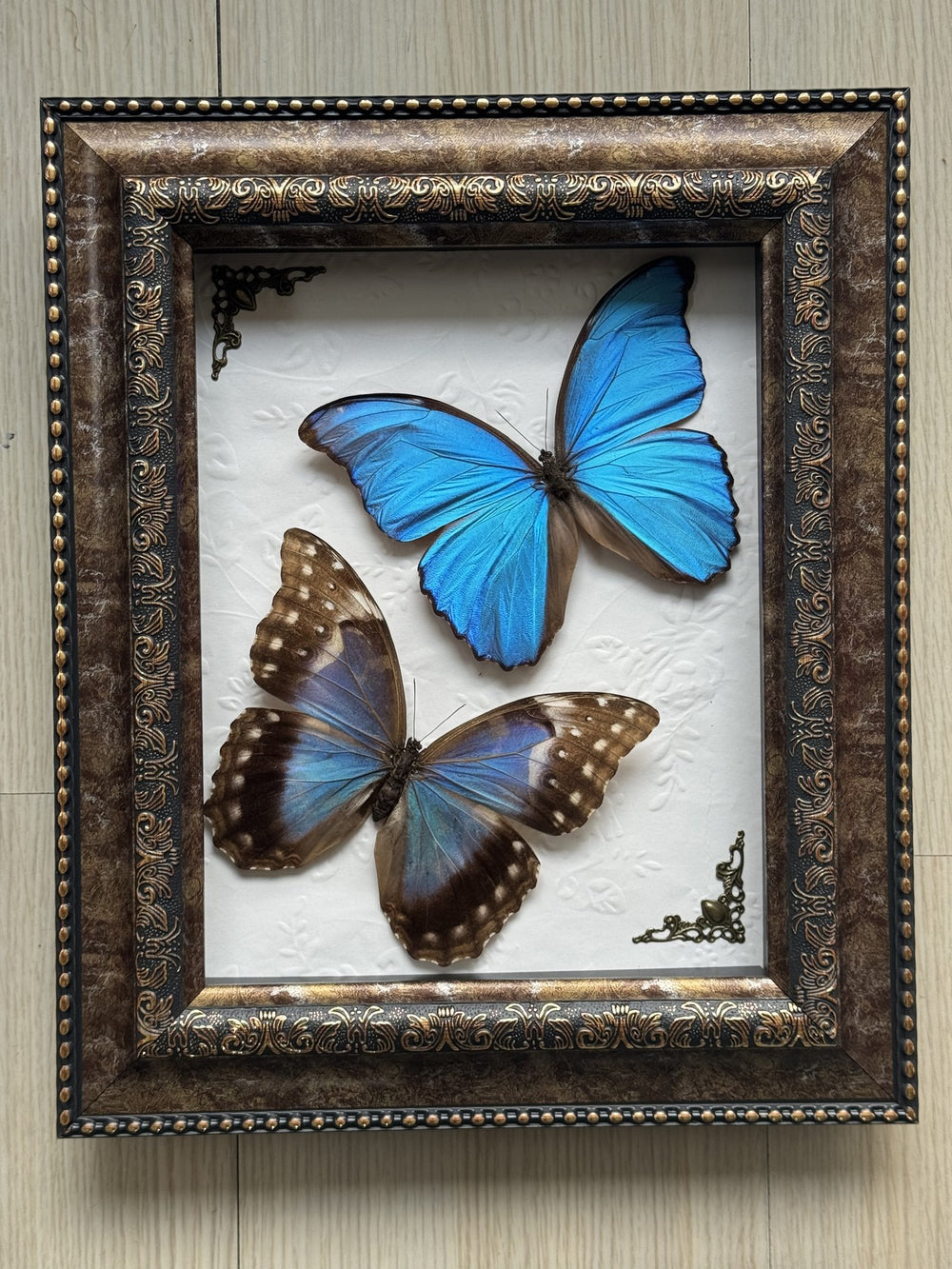 Azurite & Umber Cabinet Pair