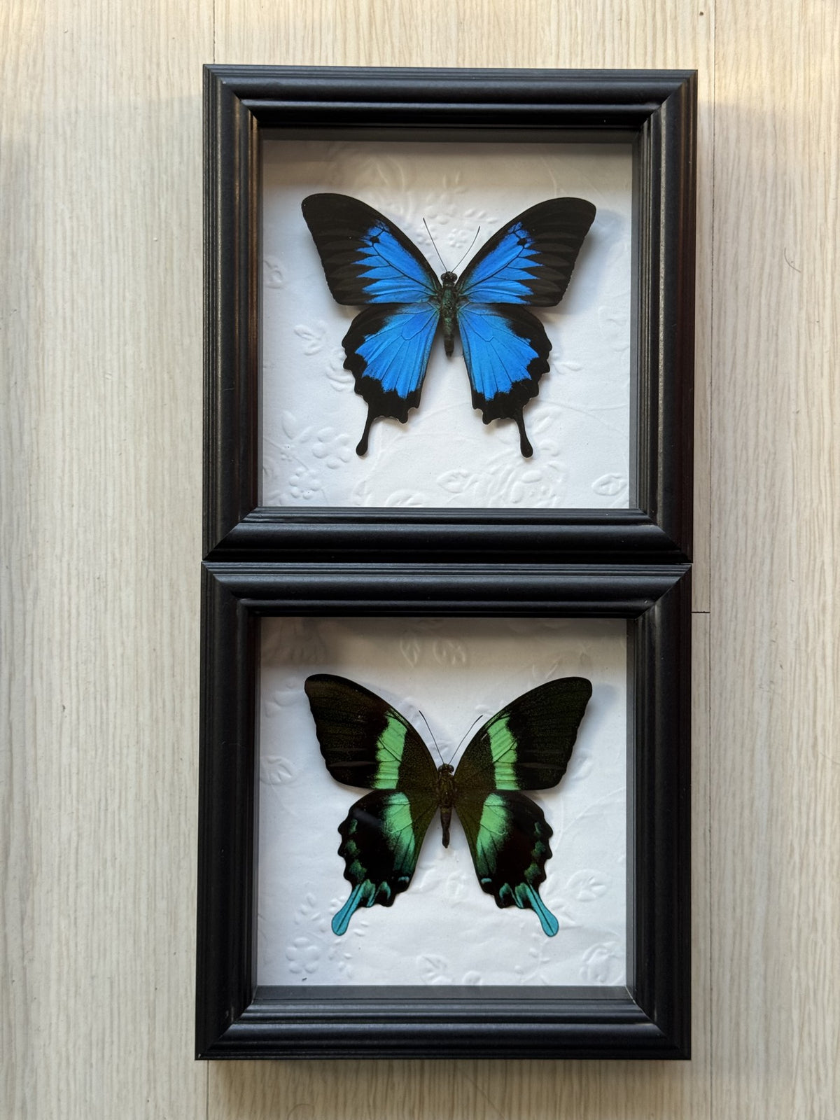 Sapphire–Emerald Cabinet Duo