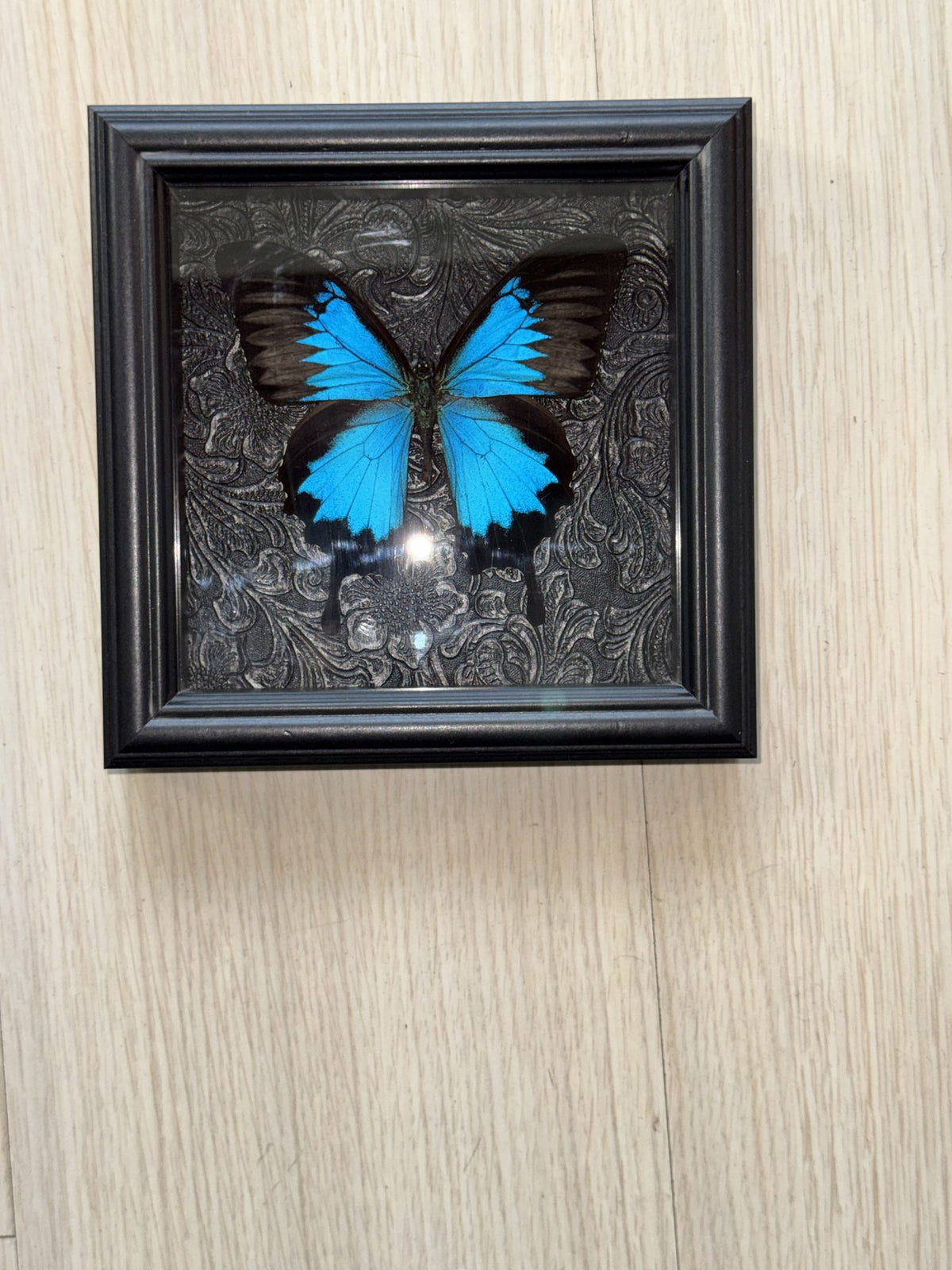 Obsidian Azure Study
