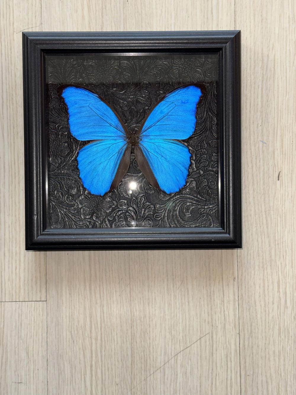 Cobalt Morpho Study