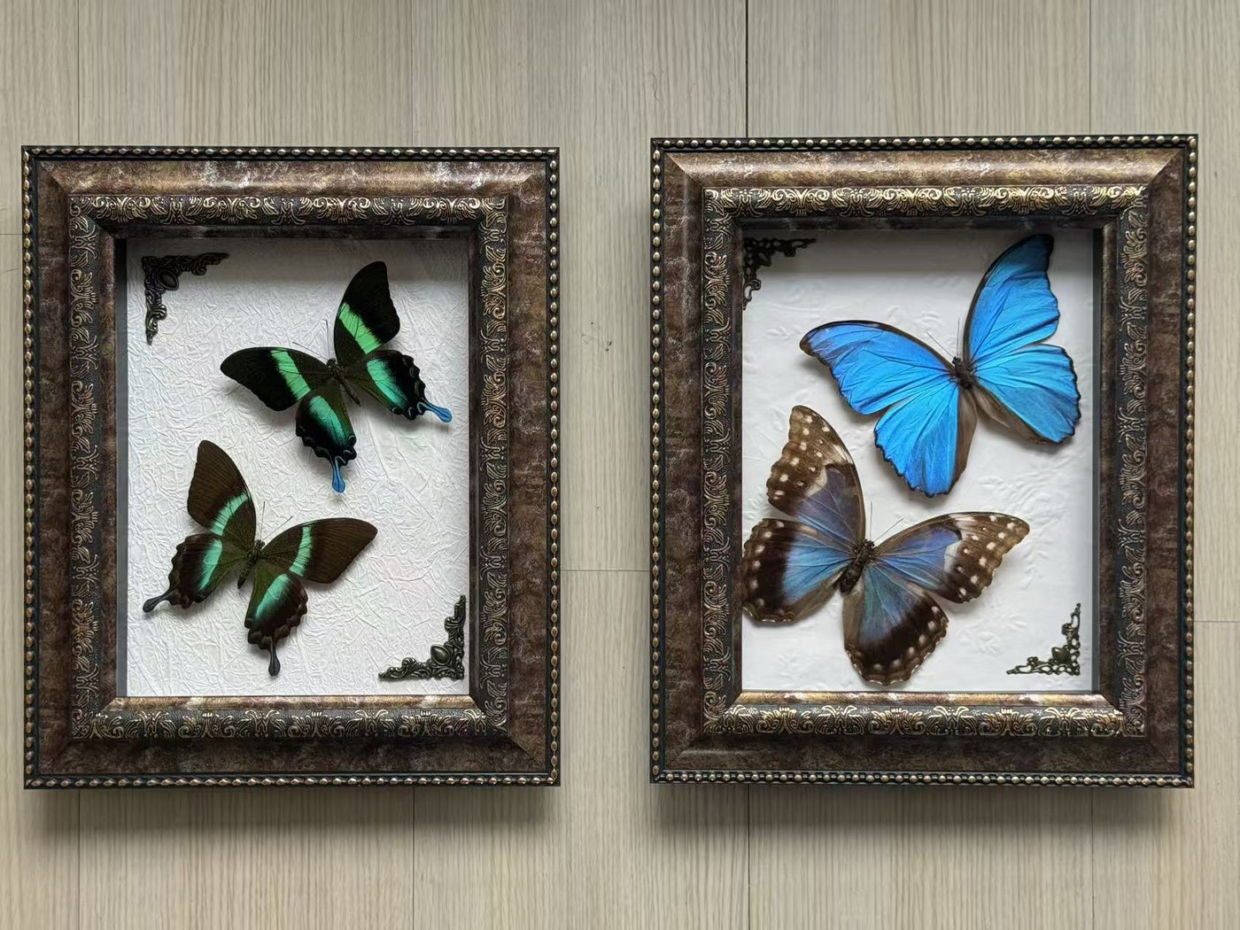 Azurite & Umber Cabinet Pair
