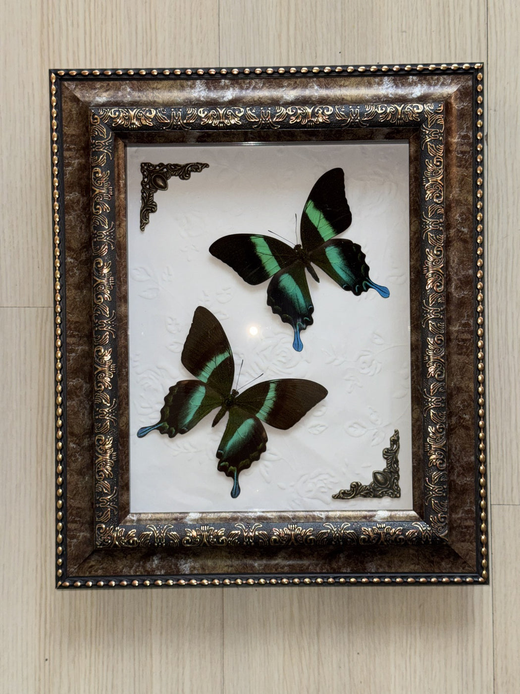 Malachite Twin Study