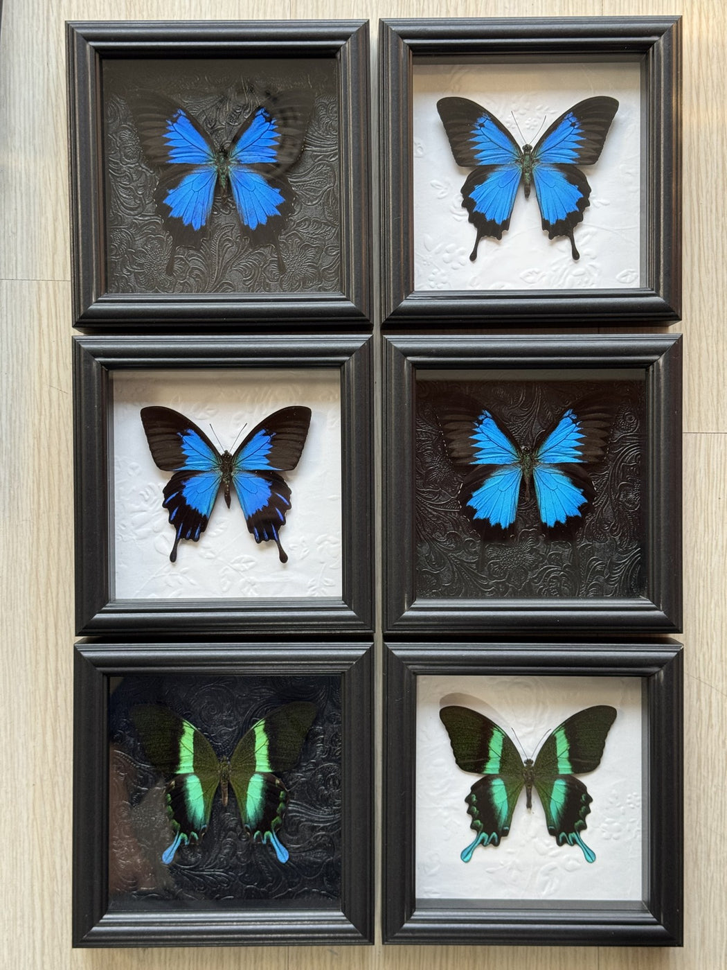 Verdant Cabinet Trio